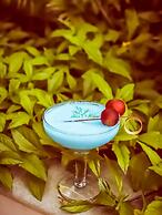 Lemon Tree Hotel, Electronics City - Bengaluru