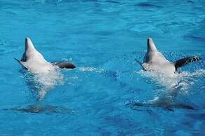 Kimpton Atlântico Algarve by IHG