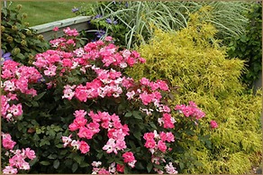 Annville Inn Bed and Breakfast