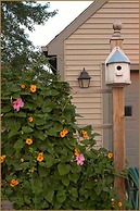 Annville Inn Bed and Breakfast