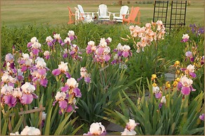 Annville Inn Bed and Breakfast