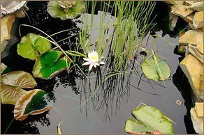 Annville Inn Bed and Breakfast