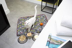 Casual Pop Art Hotel