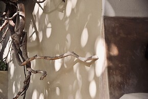 Boutique Hotel Posada 06 Tulum