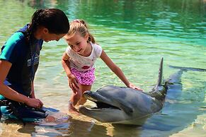 Wyndham Surfers Paradise