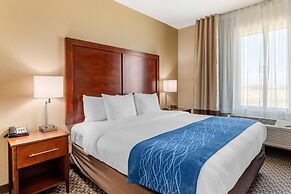 Comfort Inn & Suites Navasota