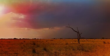 Zwahili Game Lodge & Spa