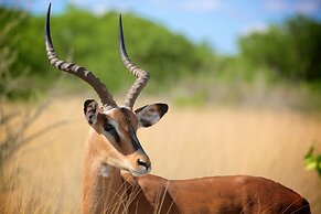 Zwahili Game Lodge & Spa