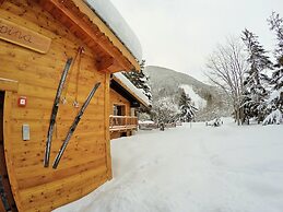 Chalet Alpina Hotel & Apartments