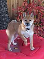 Grange Boutique Hotel