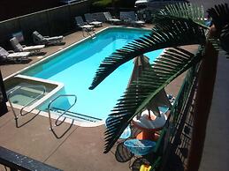 Rainbow Motor Inn - By the Falls