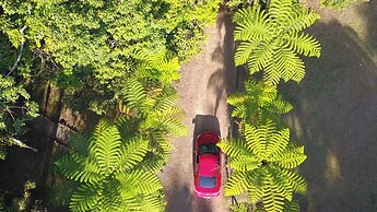 Chambers Wildlife Rainforest Lodges