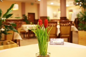 Hotel Wilga by Katowice Airport