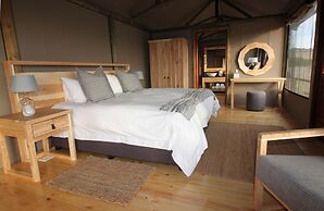 Hlosi Game Lodge - Amakhala Game Reserve