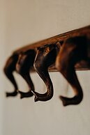 Hlosi Game Lodge - Amakhala Game Reserve