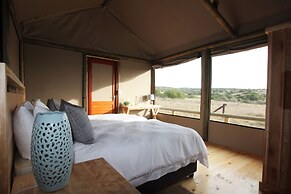 Hlosi Game Lodge - Amakhala Game Reserve