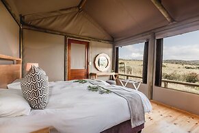 Hlosi Game Lodge - Amakhala Game Reserve
