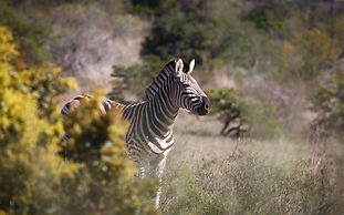 Bukela Game Lodge Amakhala Game Reserve