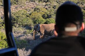 Bukela Game Lodge Amakhala Game Reserve