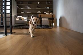 The Lloyd Stamford, Tapestry Collection by Hilton