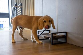 The Lloyd Stamford, Tapestry Collection by Hilton