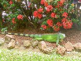 Hotel La Rosa de America