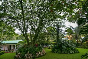 Hotel La Rosa de America