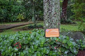 Hotel La Rosa de America