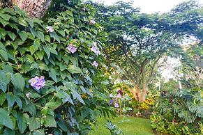 Hotel La Rosa de America