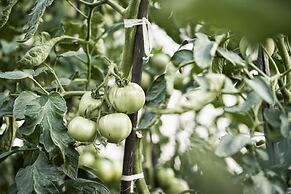 Antigoni Seaside Resort