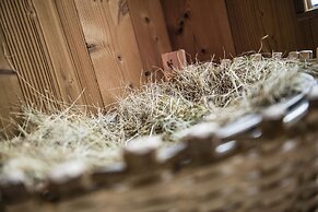 Boutique & Gourmet Hotel Orso Grigio