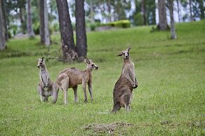 Chateau Elan At The Vintage