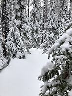 The Lodge At Lolo Hot Springs