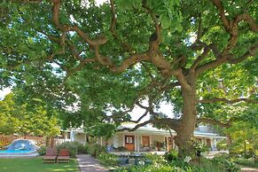 Montagu Vines Guest House