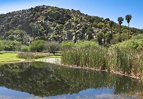 Montagu Vines Guest House