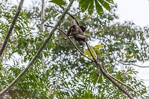 Cariblue Beach and Jungle Resort