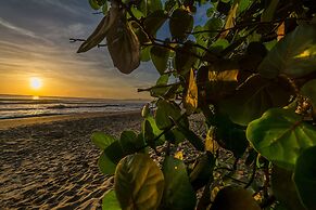 Cariblue Beach and Jungle Resort