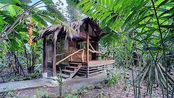 Cariblue Beach and Jungle Resort