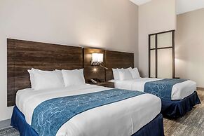 Comfort Suites McDonough Atlanta South