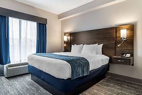 Comfort Suites McDonough Atlanta South