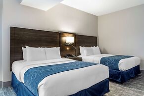 Comfort Suites McDonough Atlanta South