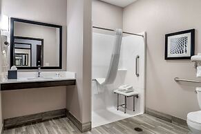 Comfort Suites McDonough Atlanta South