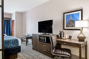 Comfort Suites McDonough Atlanta South