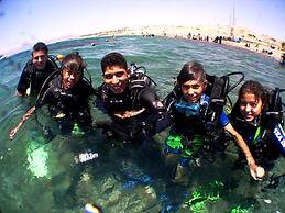 Arab Divers