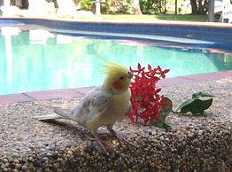 Hidden Valley Holiday Park