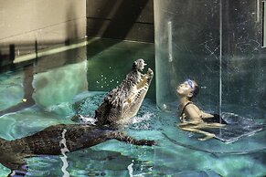 Darwin FreeSpirit Resort