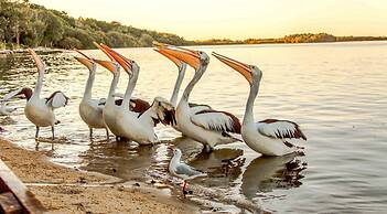 NRMA Blue Dolphin Yamba Holiday Resort