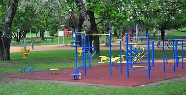 Platán