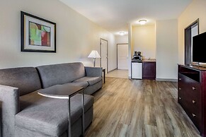 La Quinta Inn & Suites by Wyndham McKinney