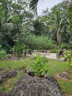 Creekside Oasis